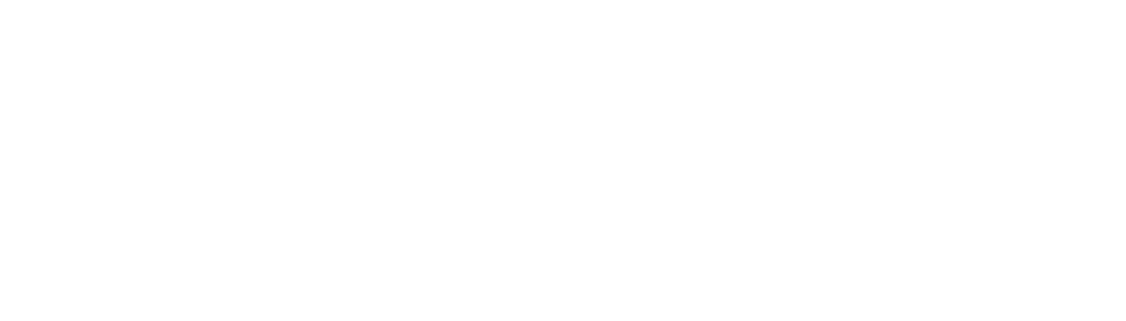 KAISHU VINYL white logo